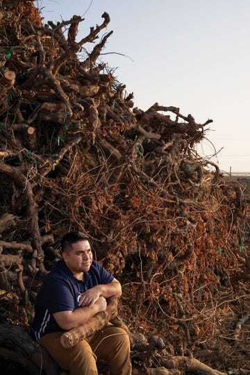 gustavo aguirre jr
