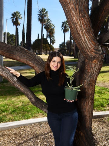 mayor regina romero