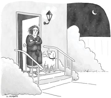 altatude, issue 32, cartoon