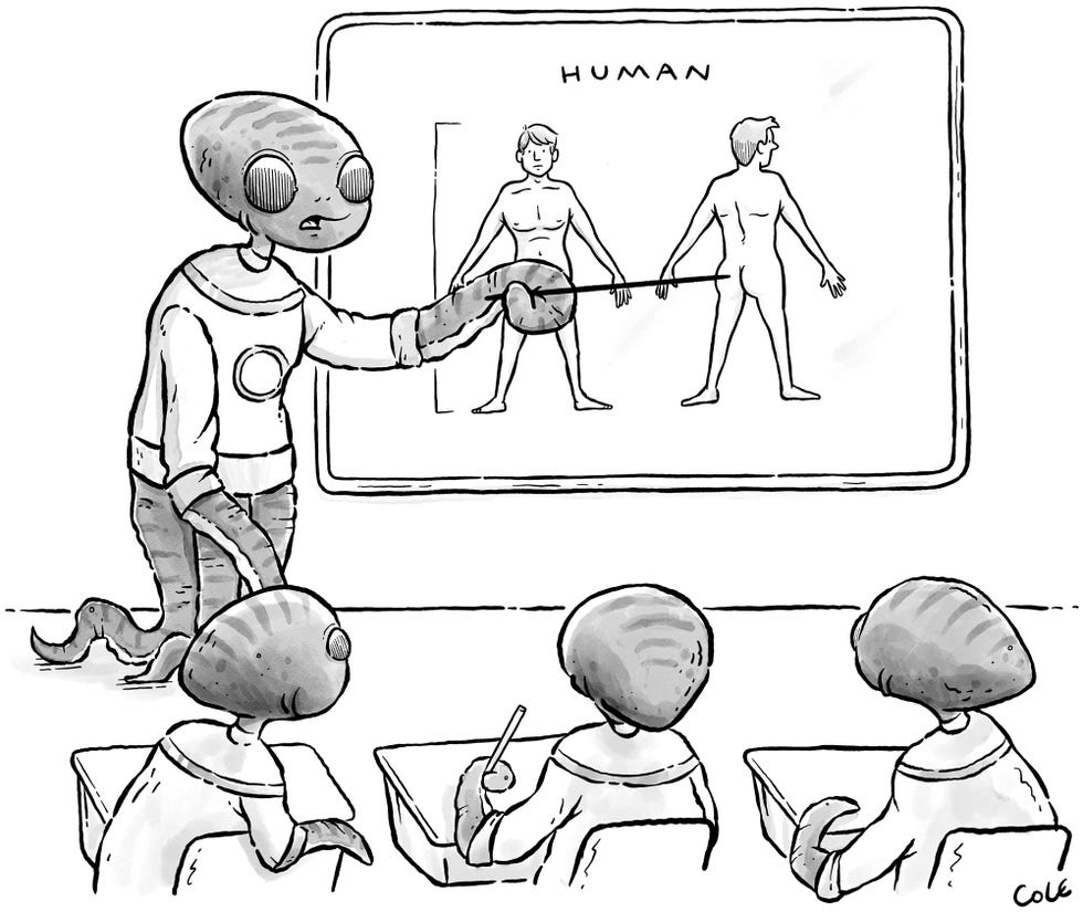 tyson cole, cartoon, altatude, summer 2022