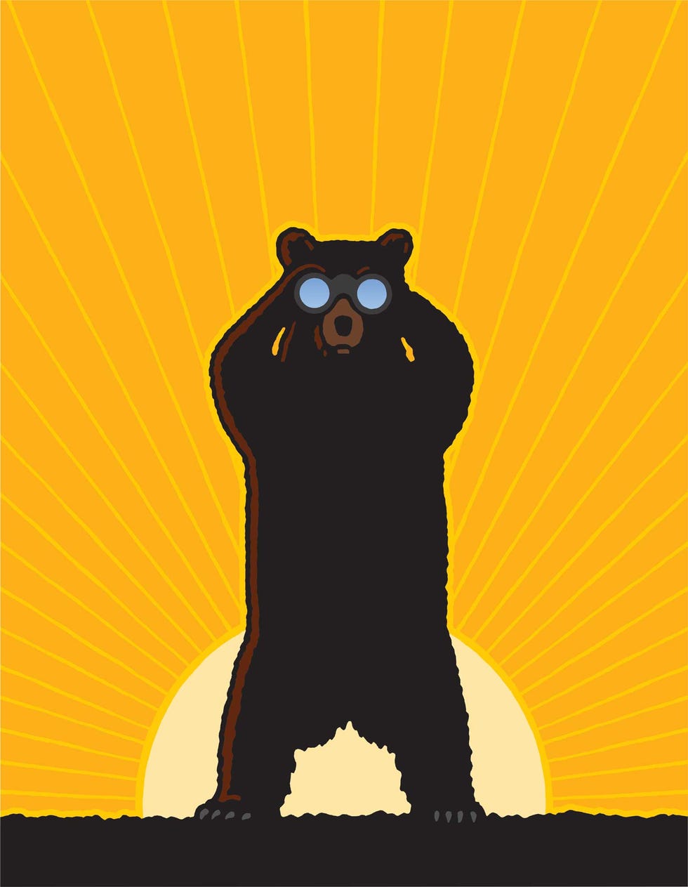 bear cover