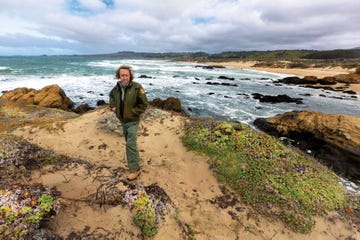 mark hylkema, franklin point