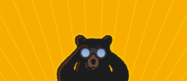 california bear