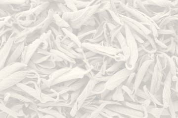 poetry background image