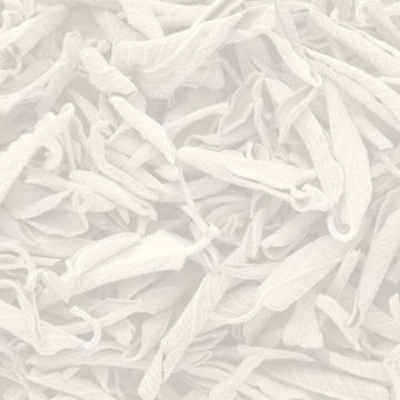 poetry background image poetry background image