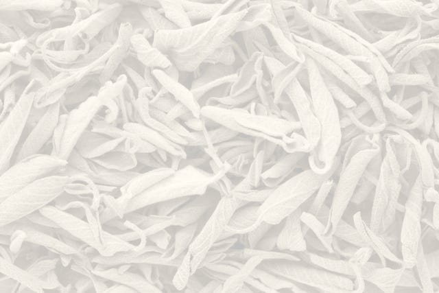 poetry background image