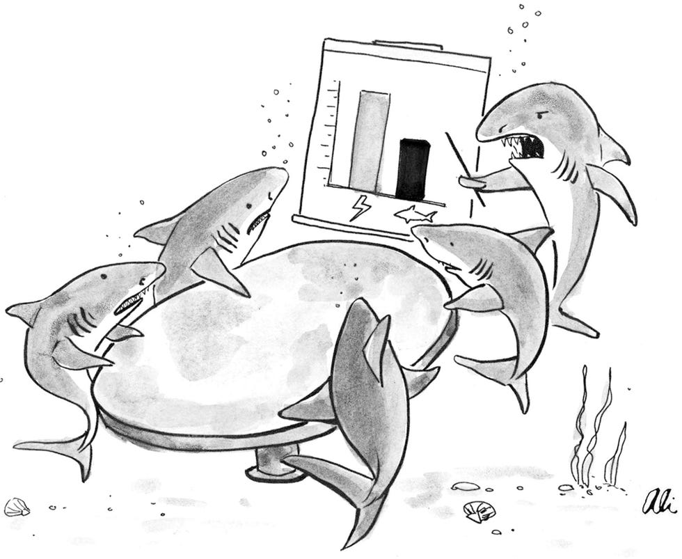 cartoon, ali solomon, altatude, issue 21