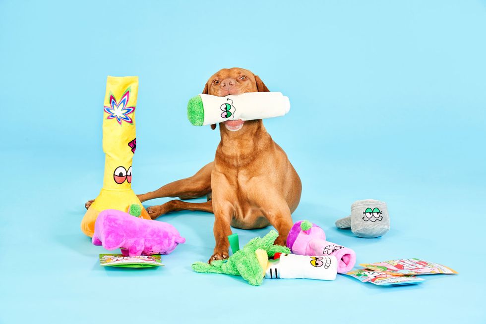 Exclusive BarkBox Is Bringing Back Its SoldOut Weed Toys for 4/20
