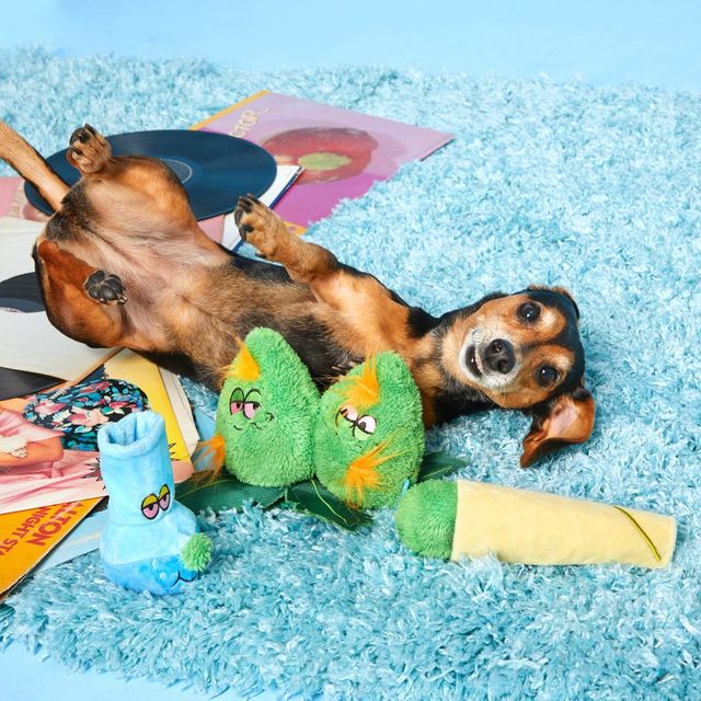 Barkbox S Sold Out 420 Toys Back In Stock