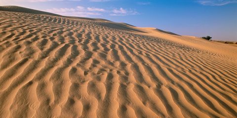 Hike Near Saskatchewan's Giant Sand Dunes 