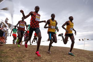 mundial de cross de bathurst