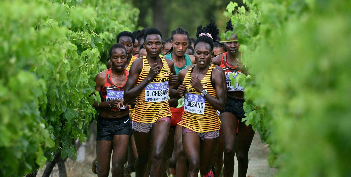 Livestream and Schedule for the 2024 World Cross-Country Championships