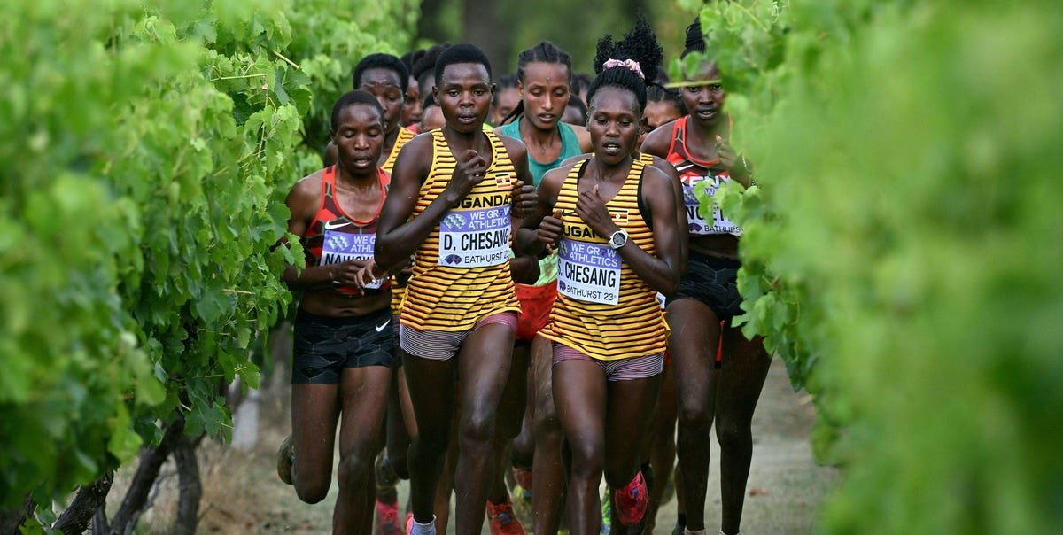 Livestream and Schedule for the 2025 World CrossCountry Championships