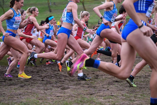 spar european cross country championships