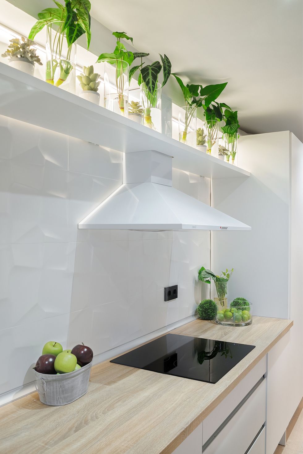 cocina blanca decorada con plantas de interior