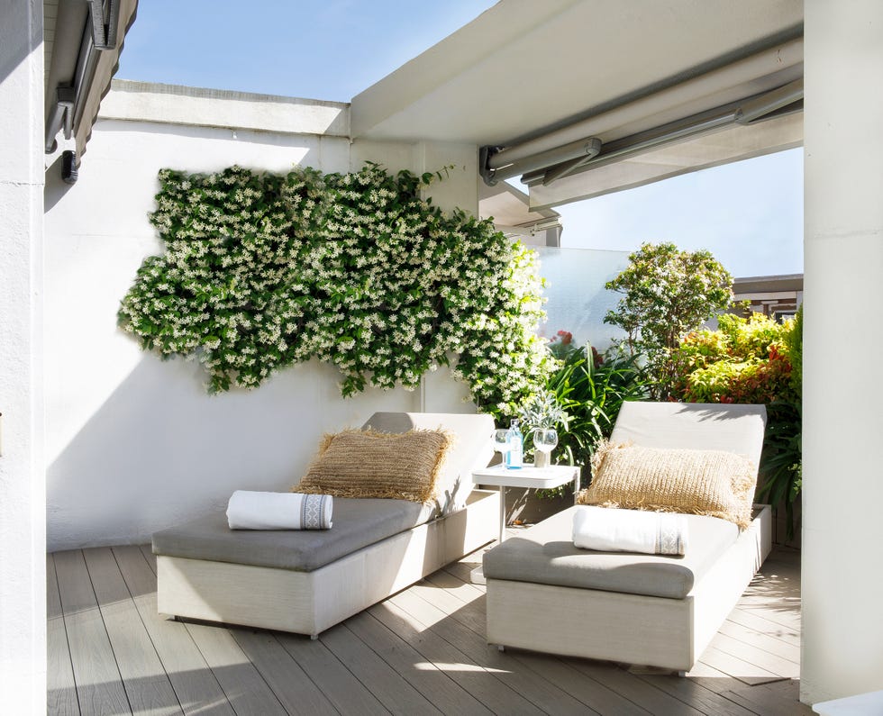 terraza con jardín vertical y dos tumbonas
