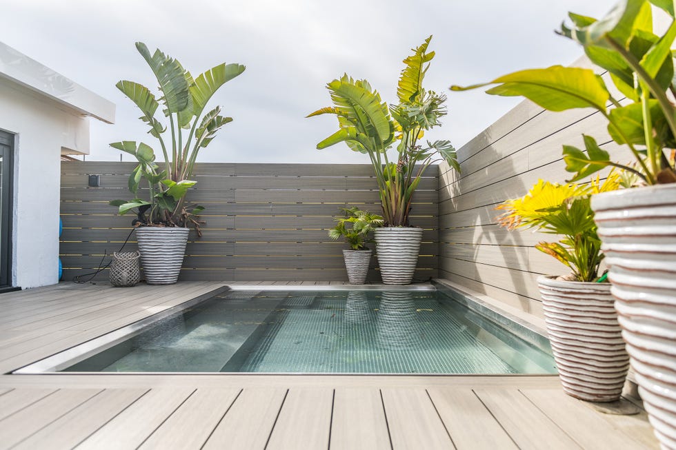 piscina con entarimado de madera y plantas tropicales