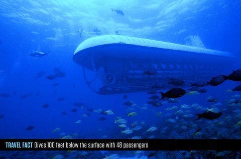 Underwater, Marine biology, Ocean, Sea, Shipwreck, Submarine, Vehicle, 
