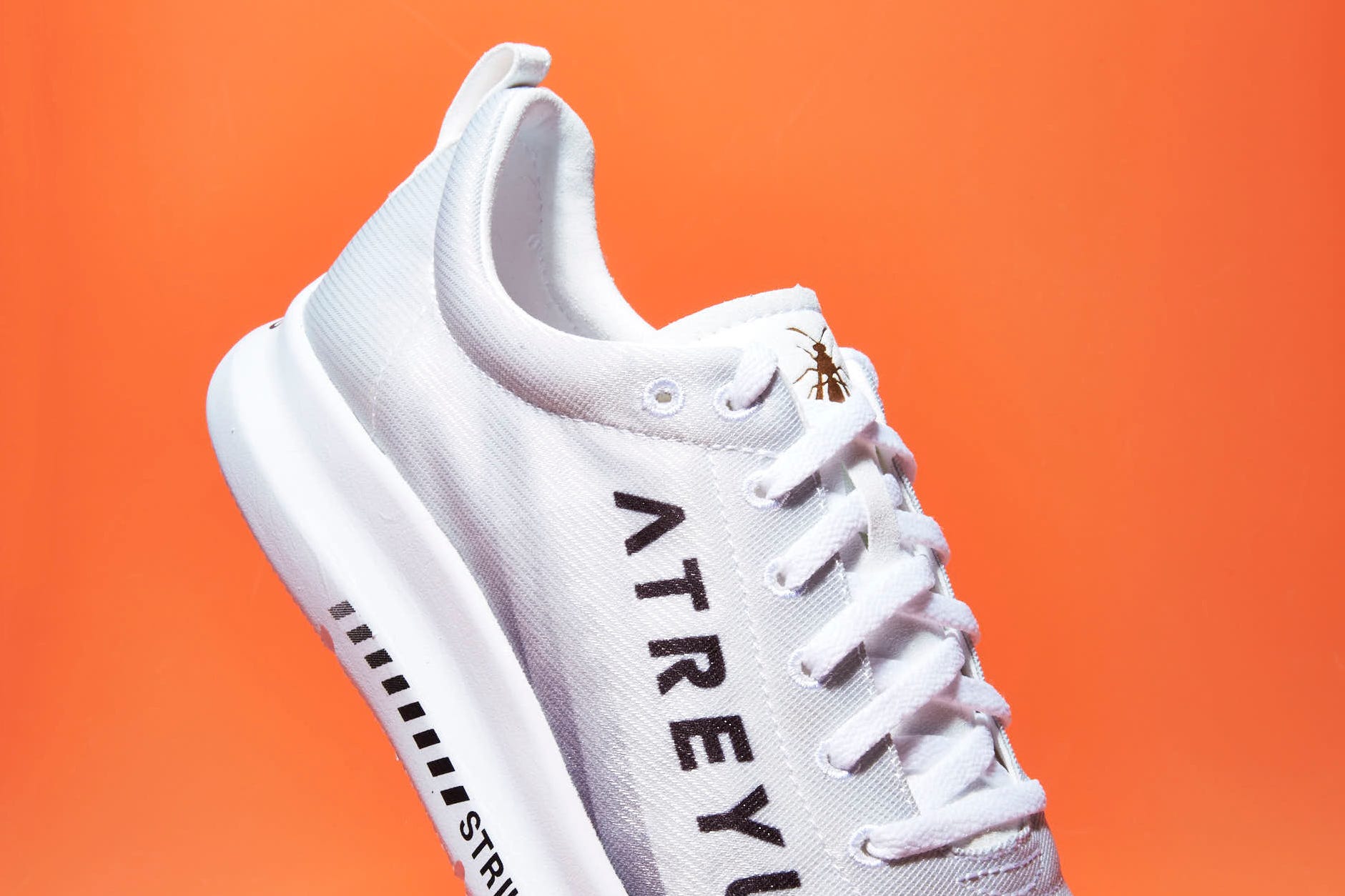 Footwear, White, Shoe, Sneakers, Nike free, Walking shoe, Sportswear, Orange, Outdoor shoe, Athletic shoe, 