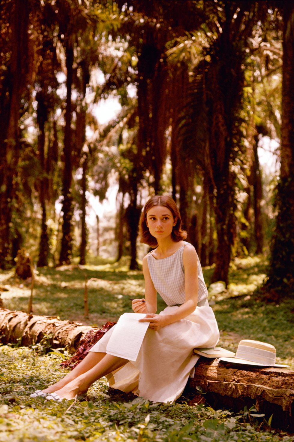 belgian born actress audrey hepburn 1929   1993, writing a letter in a palm grove, circa 1955 photo by silver screen collectionhulton archivegetty images