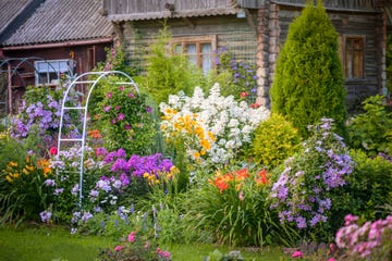 august 10 minute gardening jobs