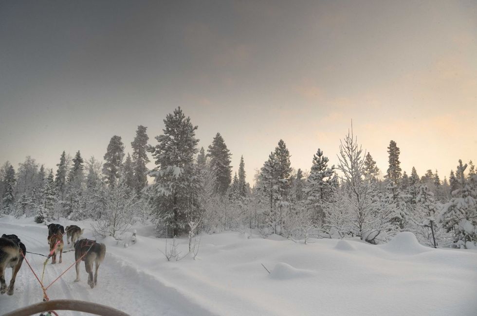 aurora,finland,Helsinki,levi,Santa Claus
