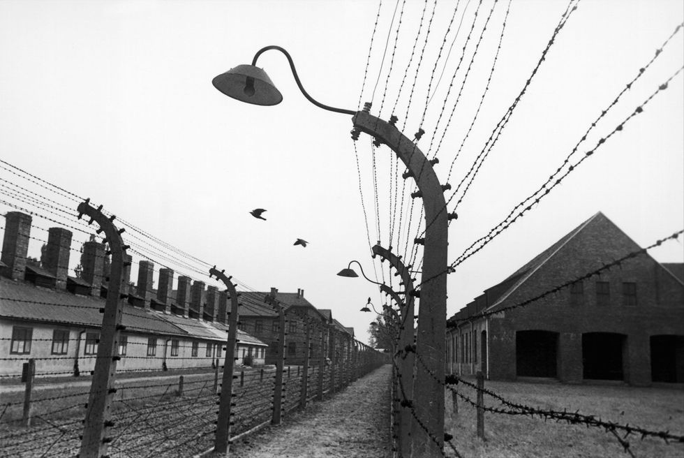 Toen EdithFriedmanen de andere jonge vrouwen in Auschwitz aankwamen wisten ze eerst niet dat ze gevangenen waren Maar Edith vroeg zich wel af wat de omheiningen met prikkeldraad hadden te betekenen Op de foto uit 1990 is het vernietigingskamp te zien als herdenkingsmonument