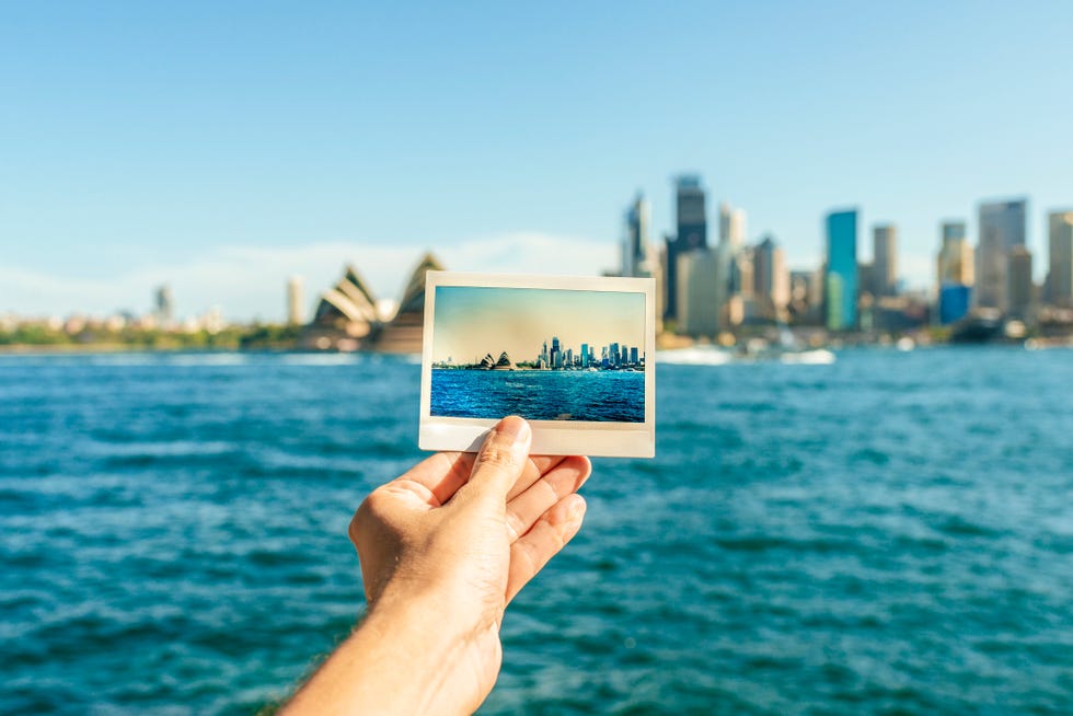 australia, new south wales, sydney, close up of sydney landscape analog photography in front of sydney