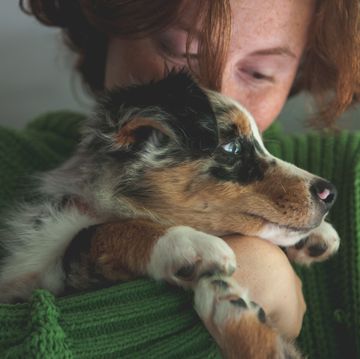 大切な愛犬の健康と命を守るために、犬が食べると体に悪い影響が出たり、場合によっては命にかかわることもある食べものを知っておくことが重要です。この記事では、﻿「犬が食べると危険な食べもの」について、﻿﻿アメリカンケネルクラブ﻿の獣医部長であり、救急医療に長年携わってきたジェリー・クライン獣医師﻿が解説。﻿