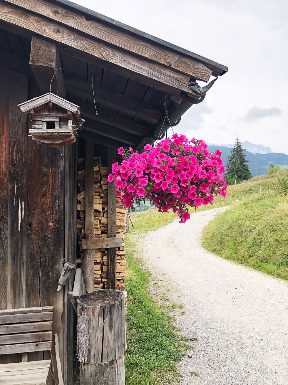 Austria flower displays