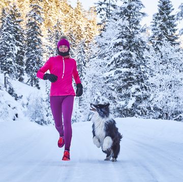 austria, tyrol, karwendel, riss valley, woman jogging with dog in winter forest