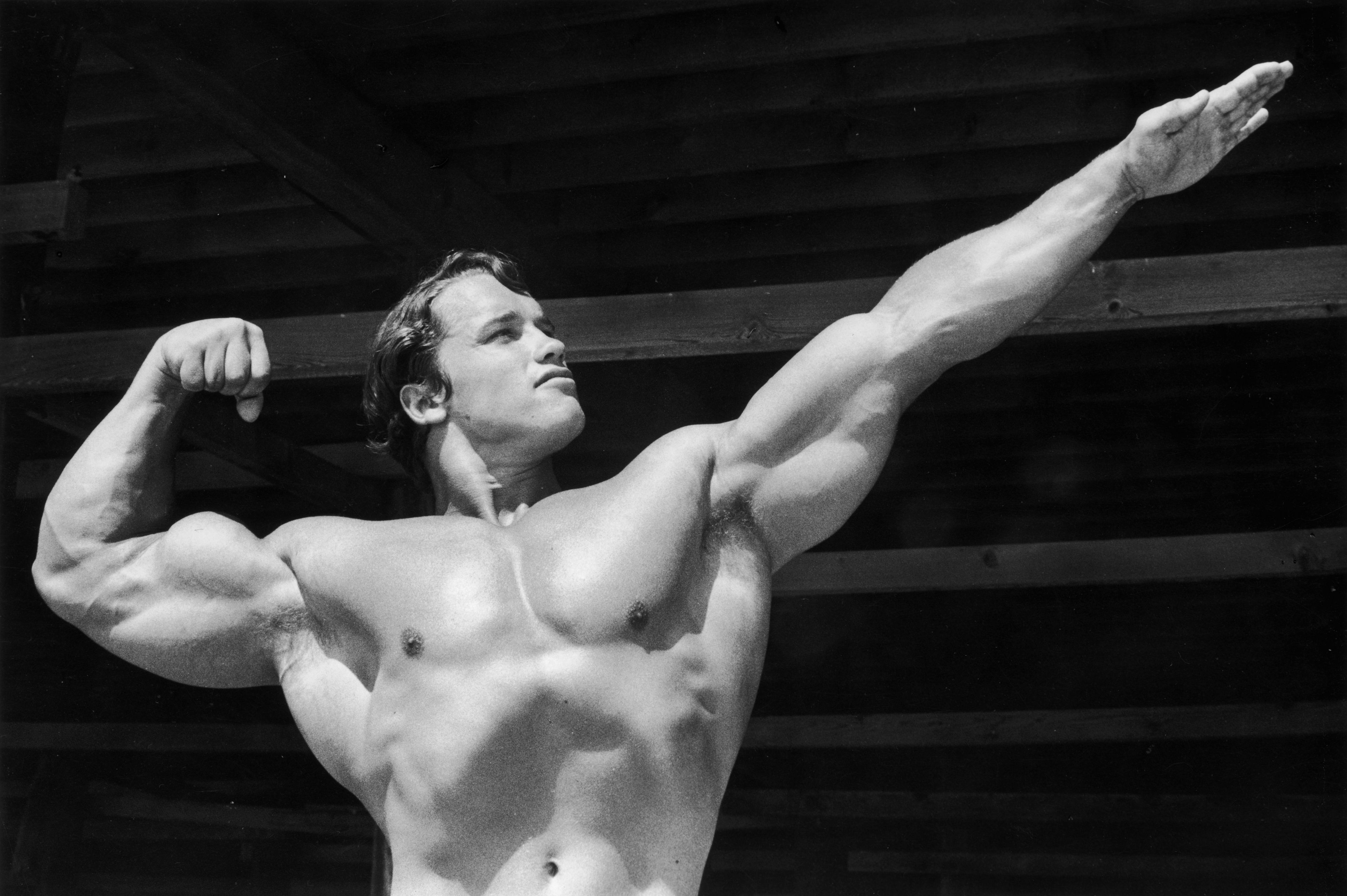 Arnold Schwarzenegger in his prime