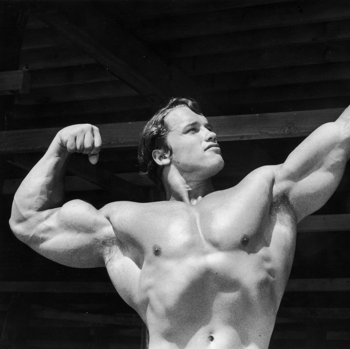 Arnold Schwarzenegger Shared His No Gym