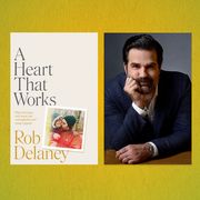in ‘a heart that works,’ rob delaney endures a parent’s nightmare