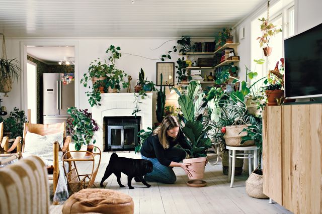 vrouw bezig met planten in huis
