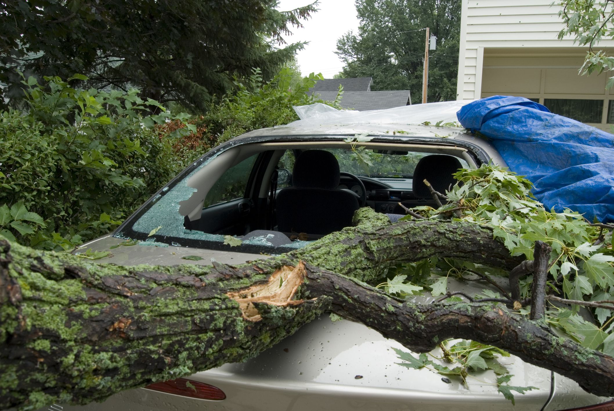 Why You Should Buy a Hail-Damaged Car