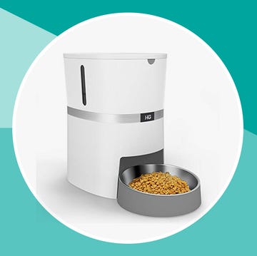 automated pet feeders automated pet feeders