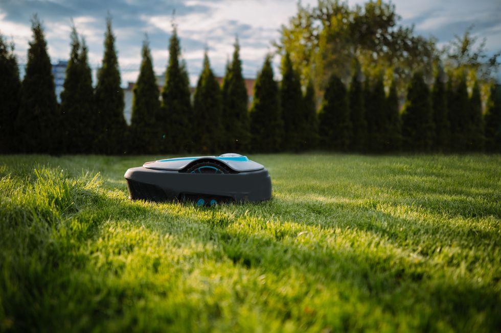 automatic baterry lawn mower cutting green grass in modern garden