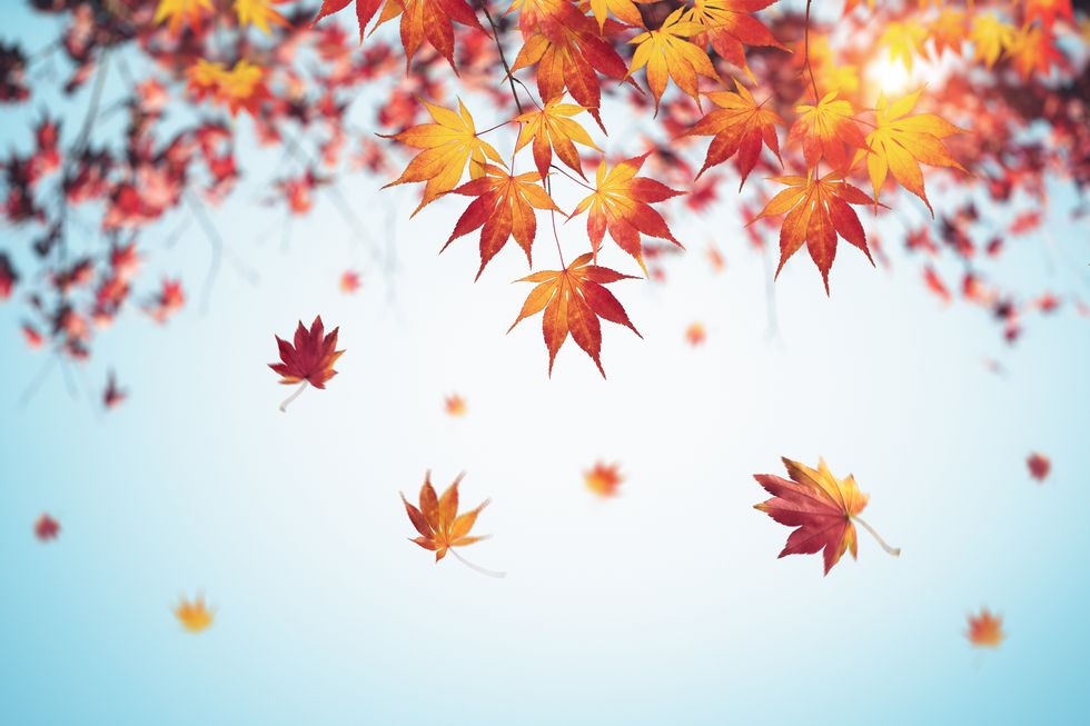 autunno