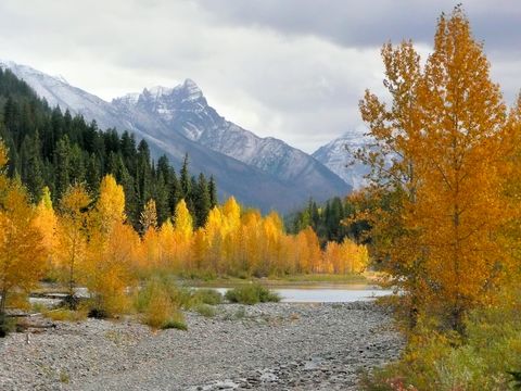 autumn colors near glacier park