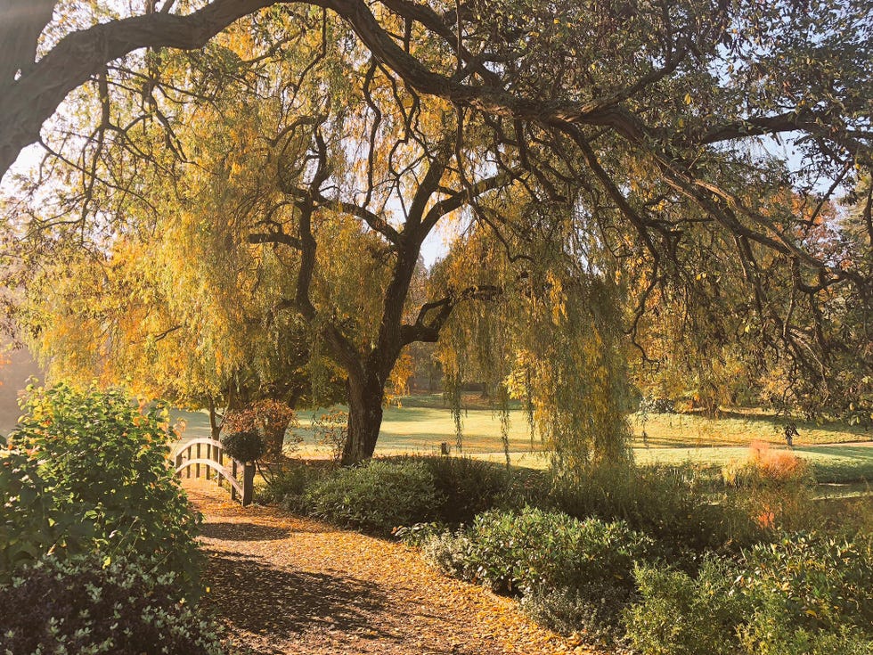 hever castle in autumn