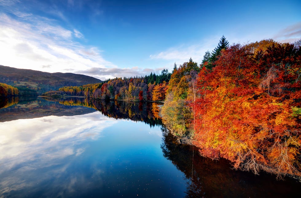 autumn, fall, trees, leaves, faskally loch, pitlochry, scotland, uk