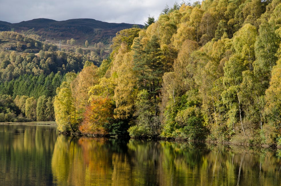 autumn colours, loch faskally, perthshire