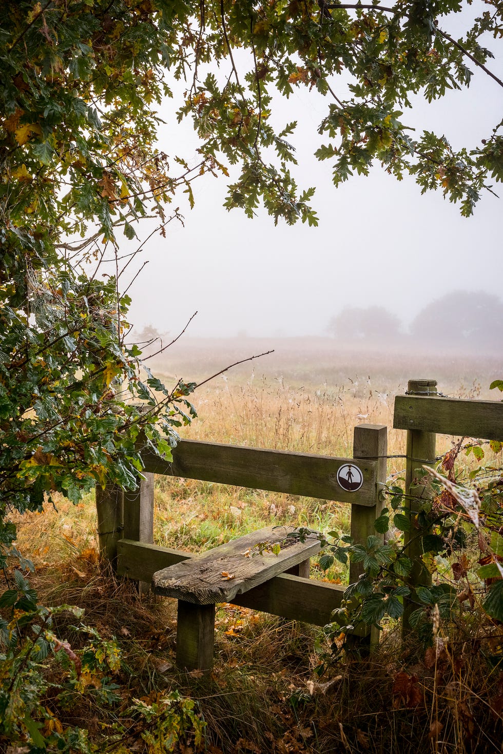 Autumn Equinox When Does UK Autumn Start in 2024?