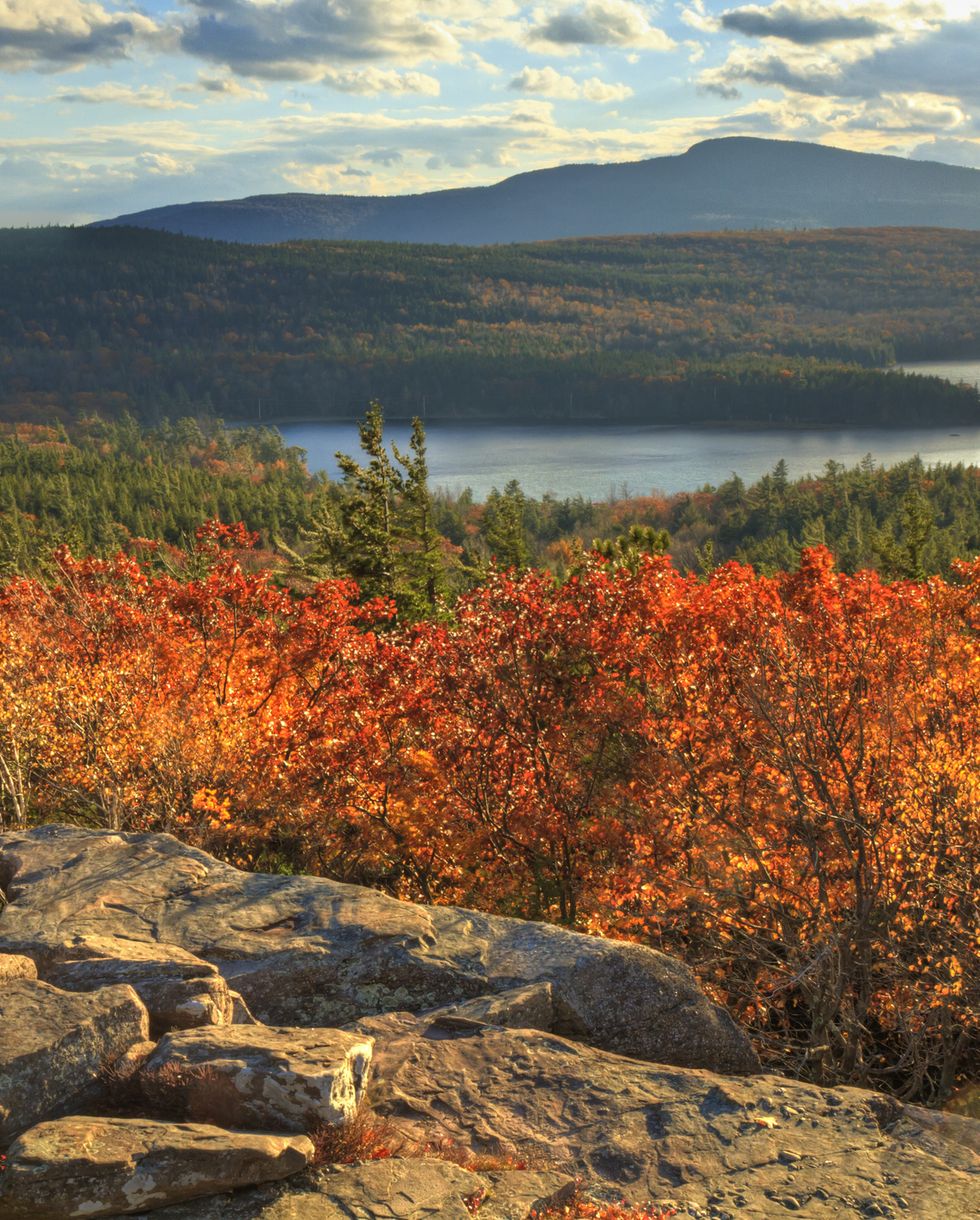 best places to see fall foliage catskill mountains new york