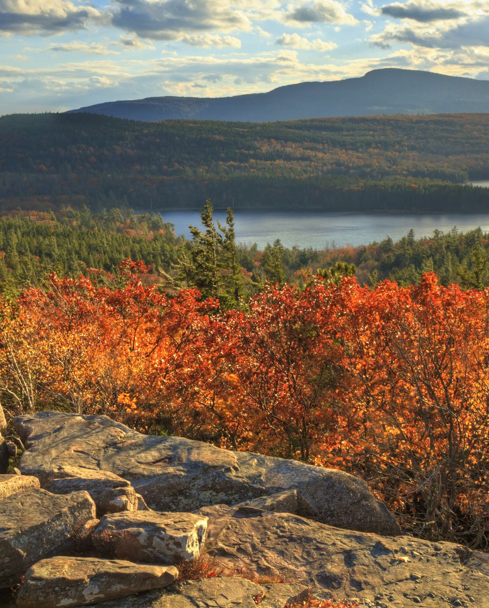 best places to see fall foliage catskill mountains new york
