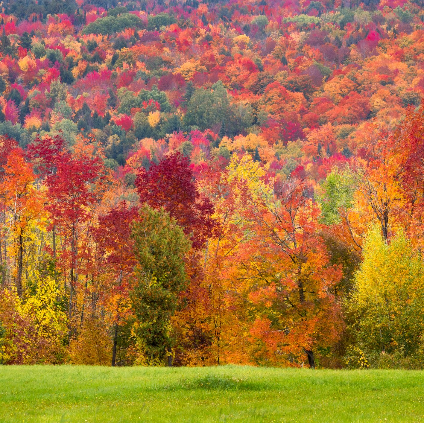 'The Old Farmer's Almanac' Just Predicted the Forecast for Fall