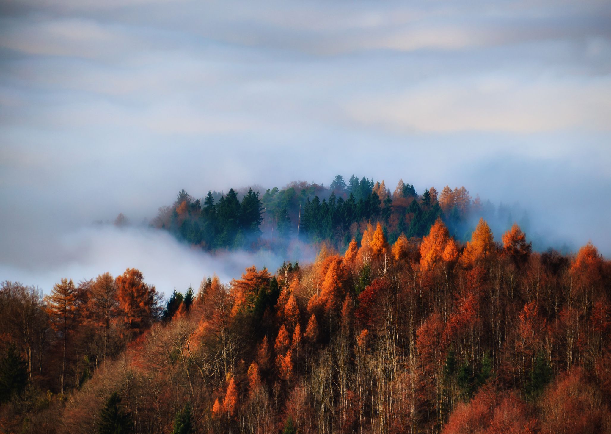 9 Things You Didn't Know About New England's Favorite Autumn Fruit