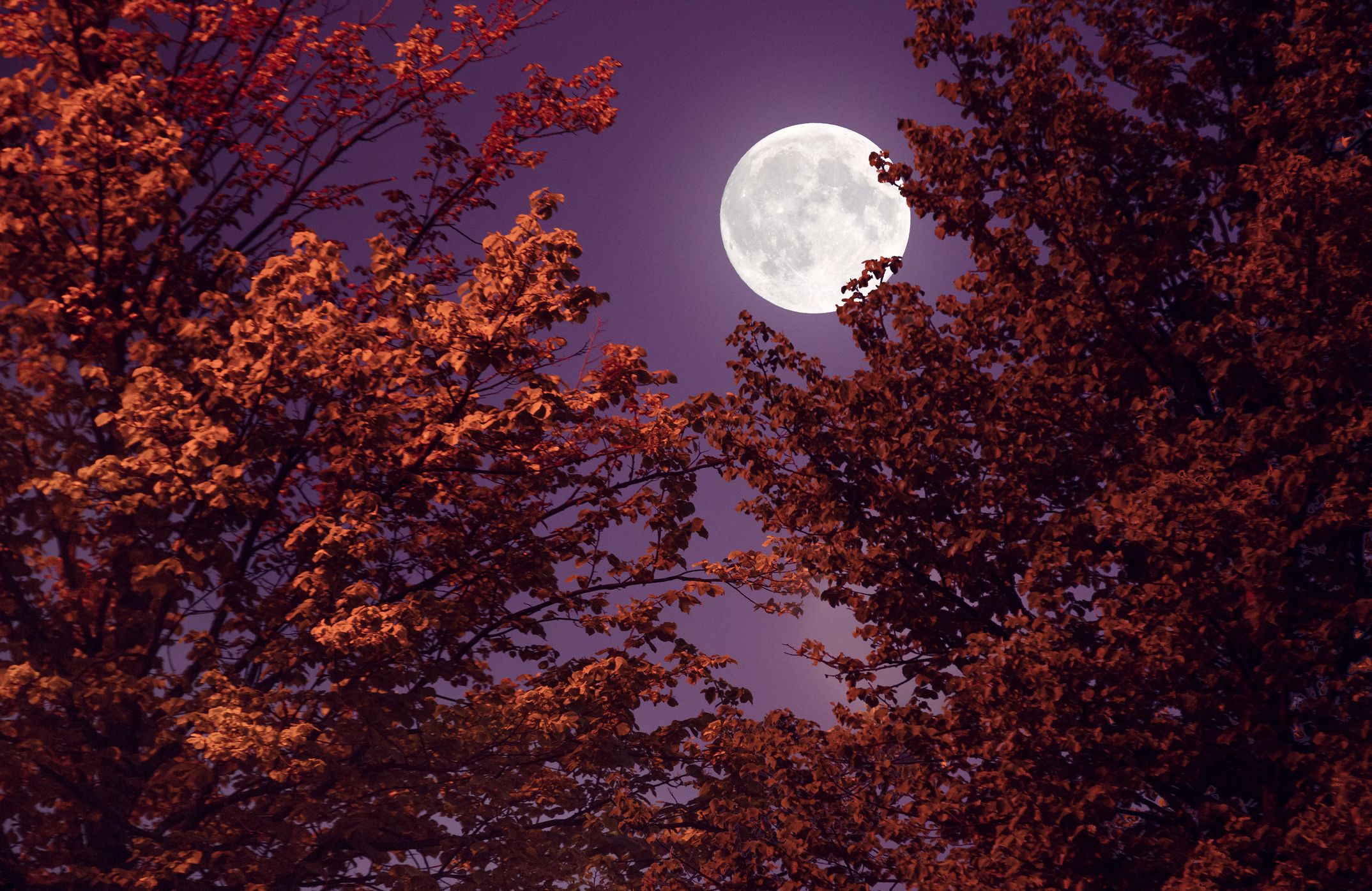 What October 2023's Full Moon Eclipse In Taurus Means For Your Sign