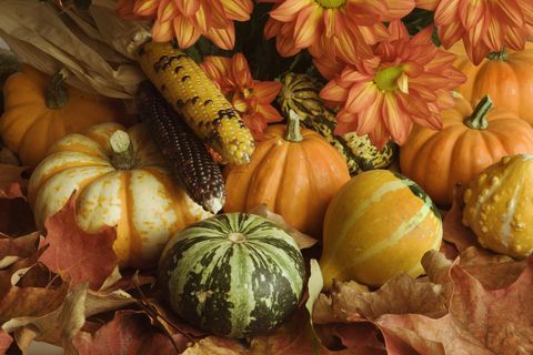 autumn harvest crop arrangement of leaves, pumpkin, chrysanthemum, corn, squash